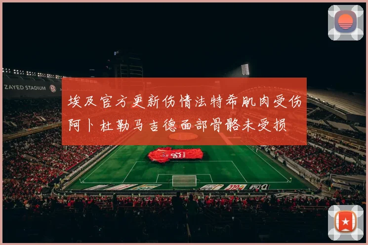 埃及官方更新伤情法特希肌肉受伤阿卜杜勒马吉德面部骨骼未受损