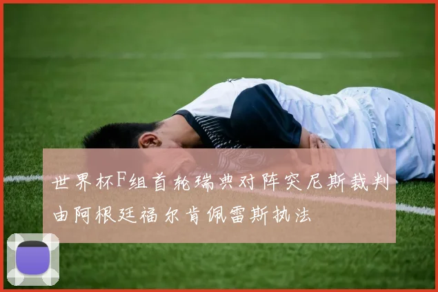 世界杯F组首轮瑞典对阵突尼斯裁判由阿根廷福尔肯佩雷斯执法