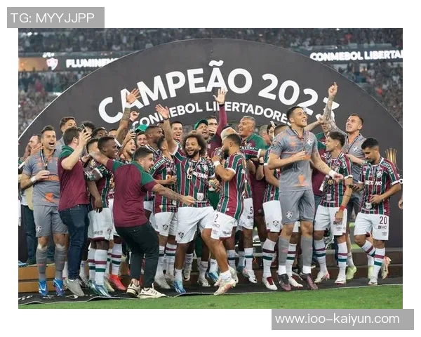 南美解放者杯决赛球队的巴西统治力近十年显著体现